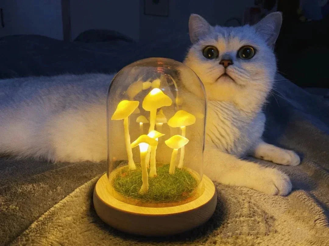 Skanto | MycoJar - Lag dine egne sopper - Naturlig glass DIY - Vekk din kreativitet
