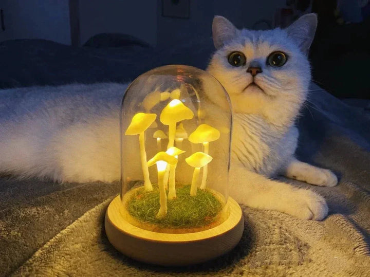 Skanto | MycoJar - Lag dine egne sopper - Naturlig glass DIY - Vekk din kreativitet