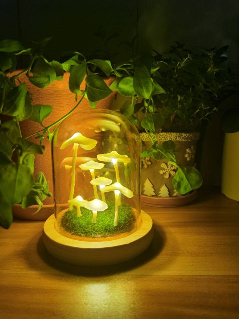 Skanto | MycoJar - Lag dine egne sopper - Naturlig glass DIY - Vekk din kreativitet