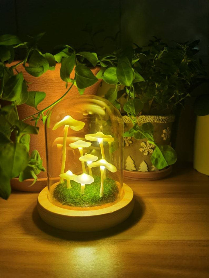 Skanto | MycoJar - Lag dine egne sopper - Naturlig glass DIY - Vekk din kreativitet