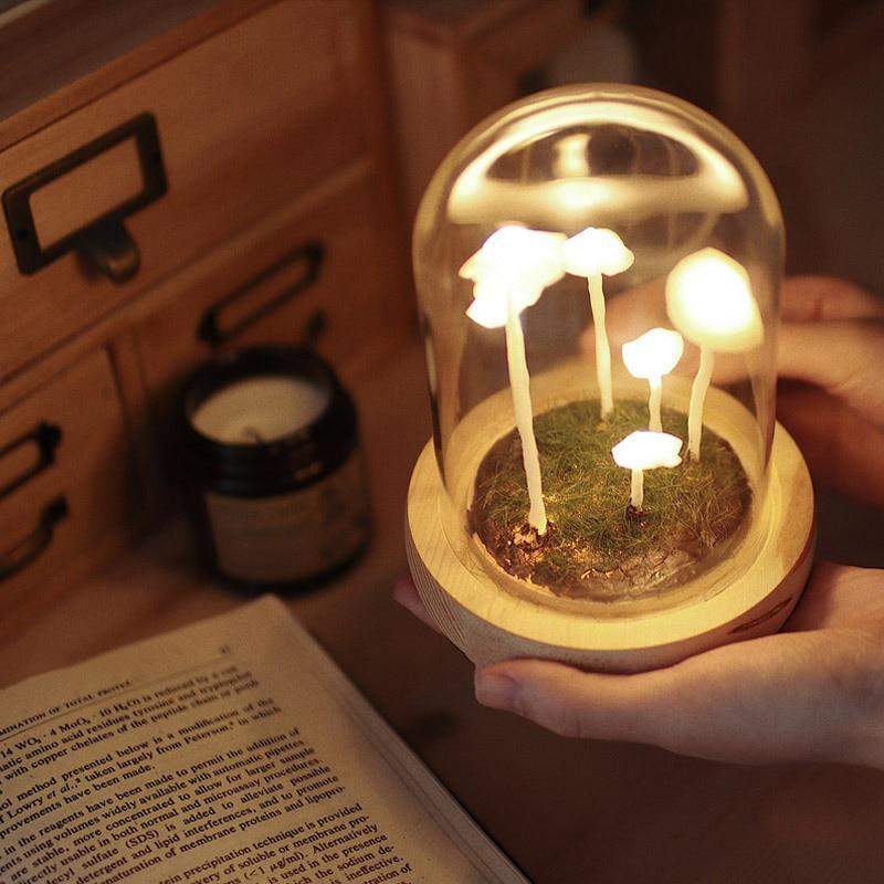 Skanto | MycoJar - Lag dine egne sopper - Naturlig glass DIY - Vekk din kreativitet