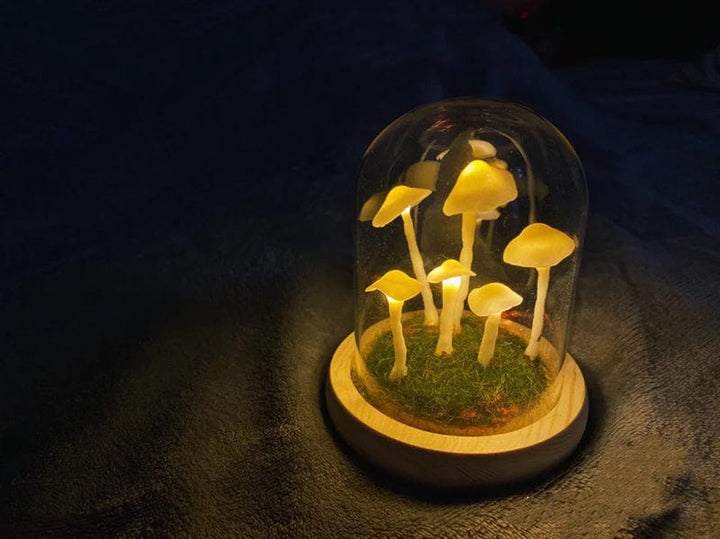 Skanto | MycoJar - Lag dine egne sopper - Naturlig glass DIY - Vekk din kreativitet
