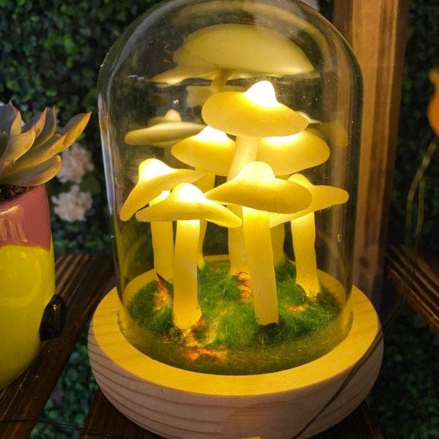 Skanto | MycoJar - Lag dine egne sopper - Naturlig glass DIY - Vekk din kreativitet