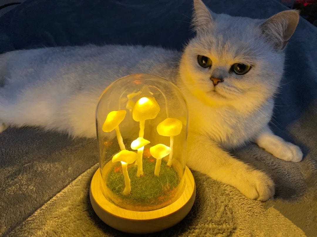 Norvo | Hjemmekultivering med et snev av magi