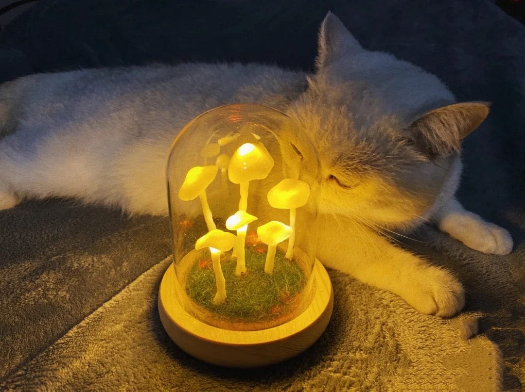Skanto | MycoJar - Lag dine egne sopper - Naturlig glass DIY - Vekk din kreativitet