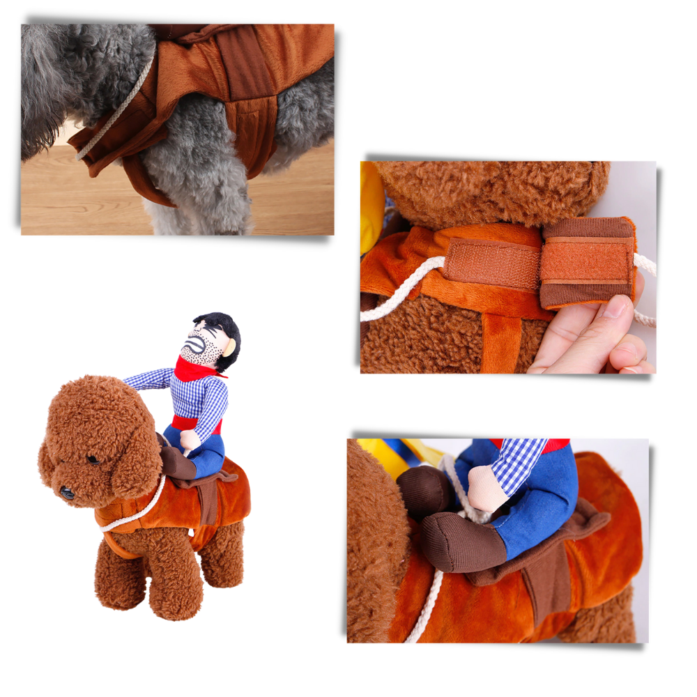 Cowboy hundekostyme