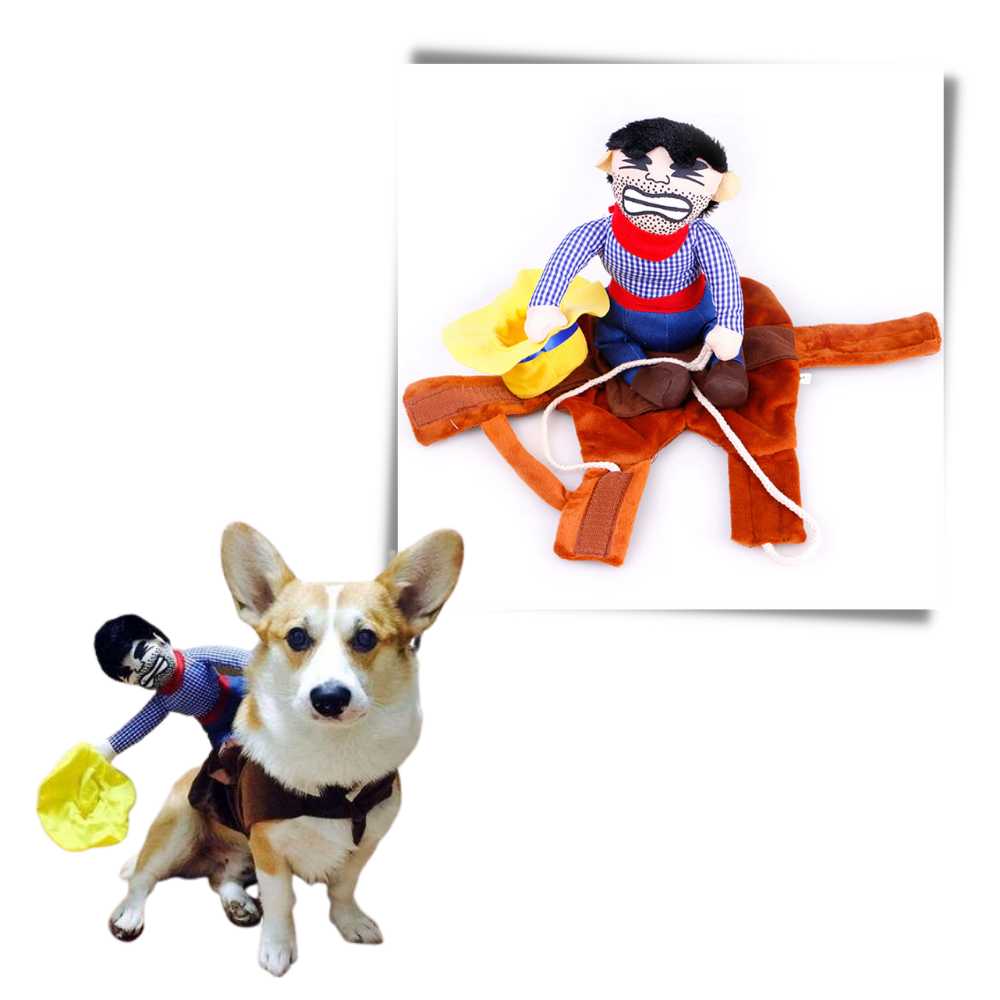 Cowboy hundekostyme