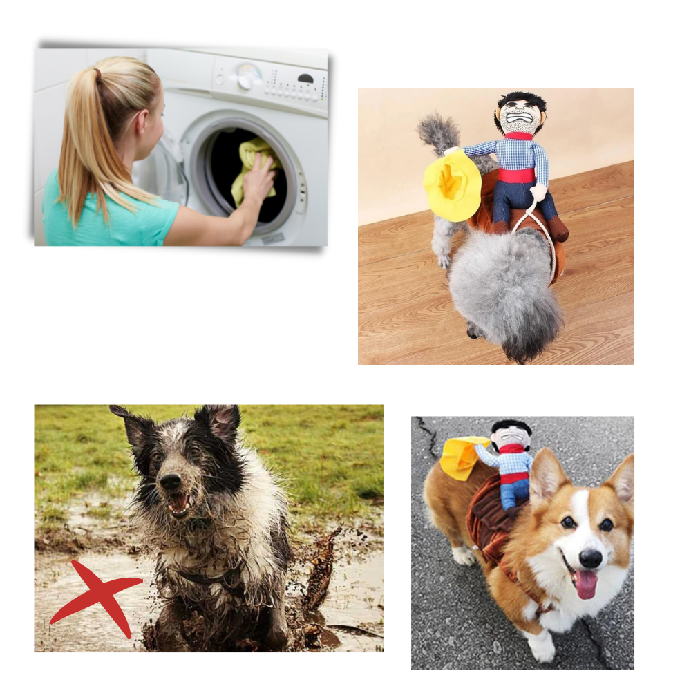 Cowboy hundekostyme