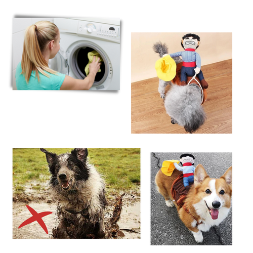 Cowboy hundekostyme