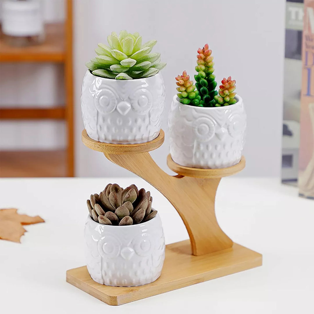 Skanto | Dekorativ planteholder laget av tre – plantepotter i ugledesign for sukkulenter og innendørsplanter