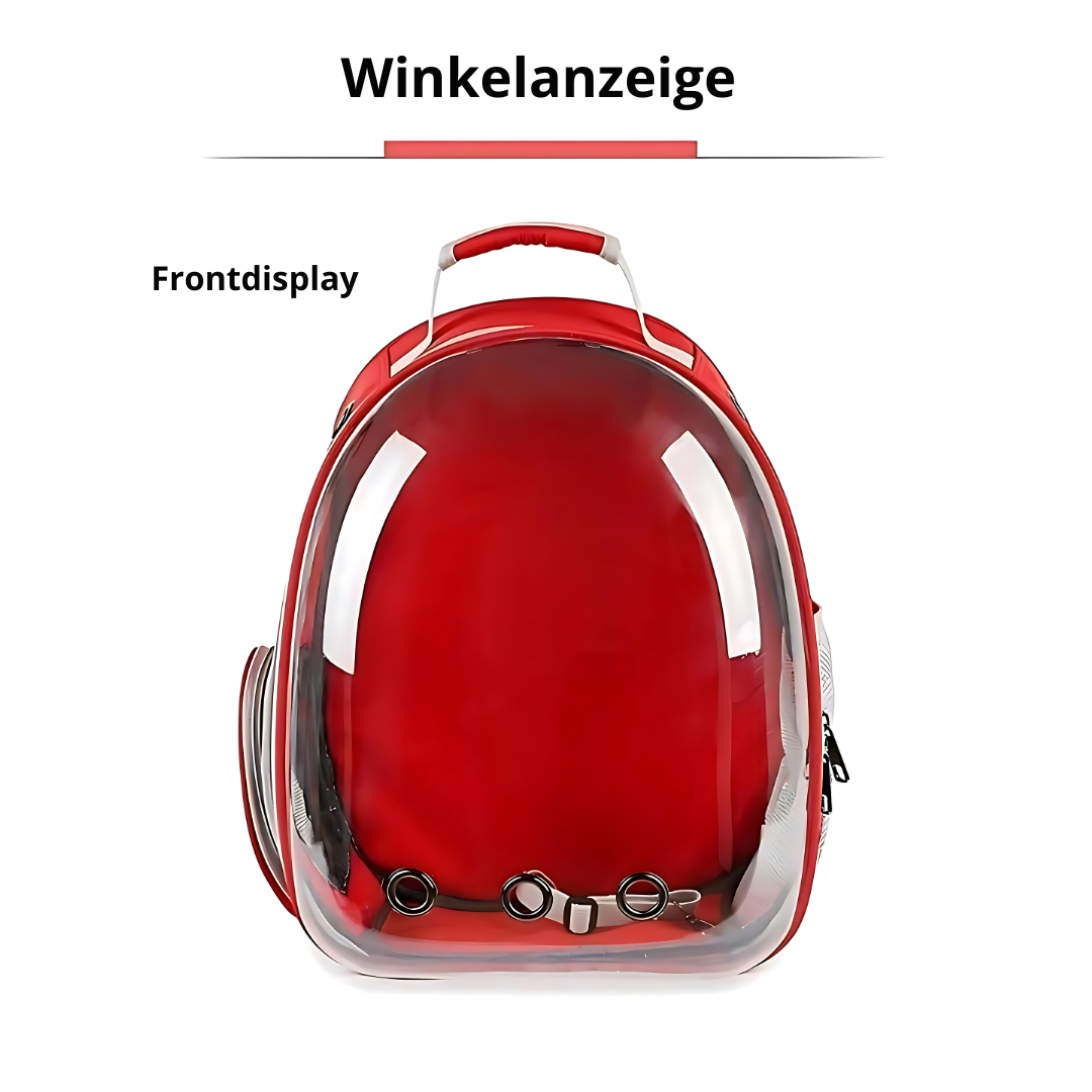 Skanto | Transport Ryggsekk for Katter – Din Follower for Hver Eventyr