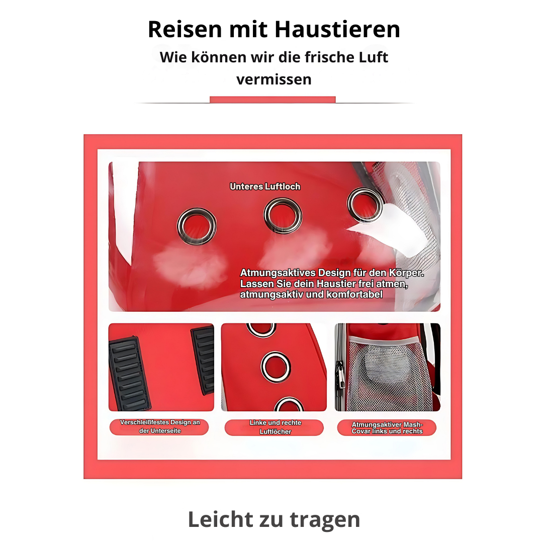 Skanto | Transport Ryggsekk for Katter – Din Follower for Hver Eventyr