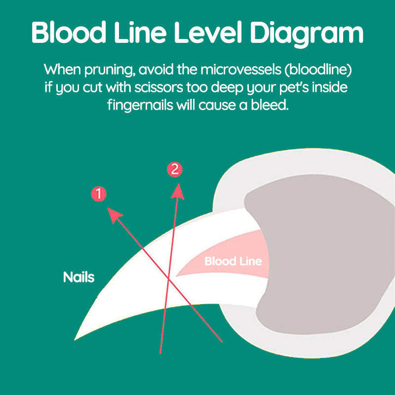 Norvo | Premium hundeklipper med sikkerhetssensor