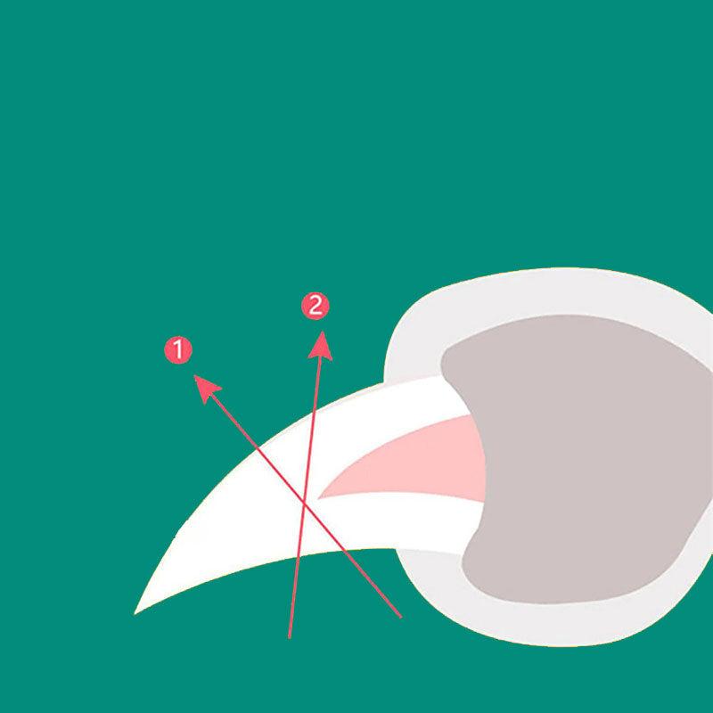 Norvo | MAX - Beste negleklipper for hunder med hurtigsensorer