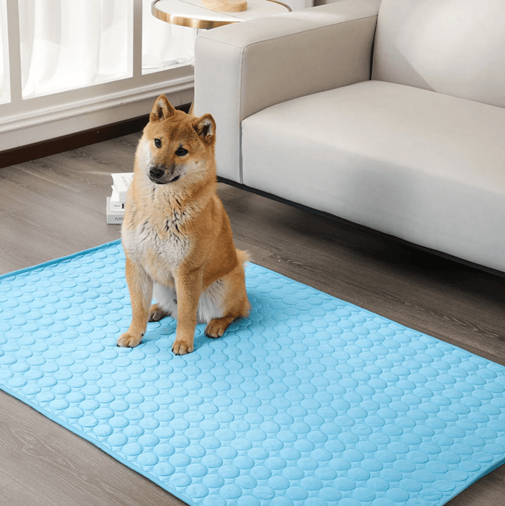 Skanto | Selvkølende hundematte for varme dager og avslappede hunder