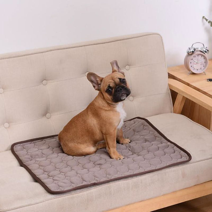 Skanto | Selvkølende hundematte for varme dager og avslappede hunder