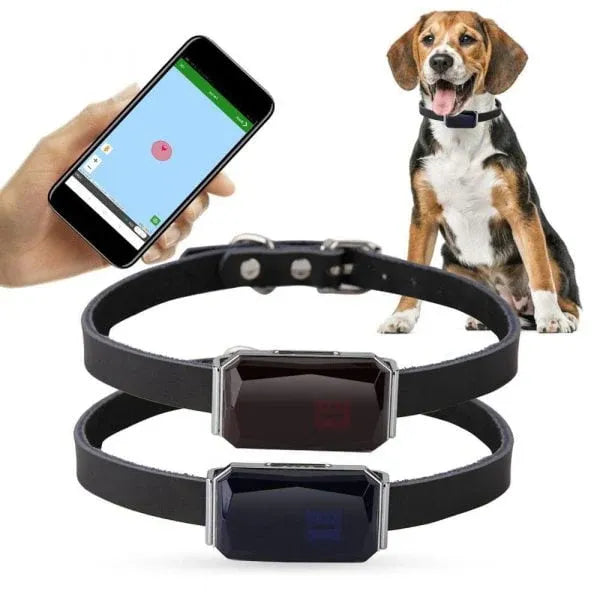 Pet GPS Tracker - Sanntid Plassering Sporingssystem for Kjæledyr | Skanto