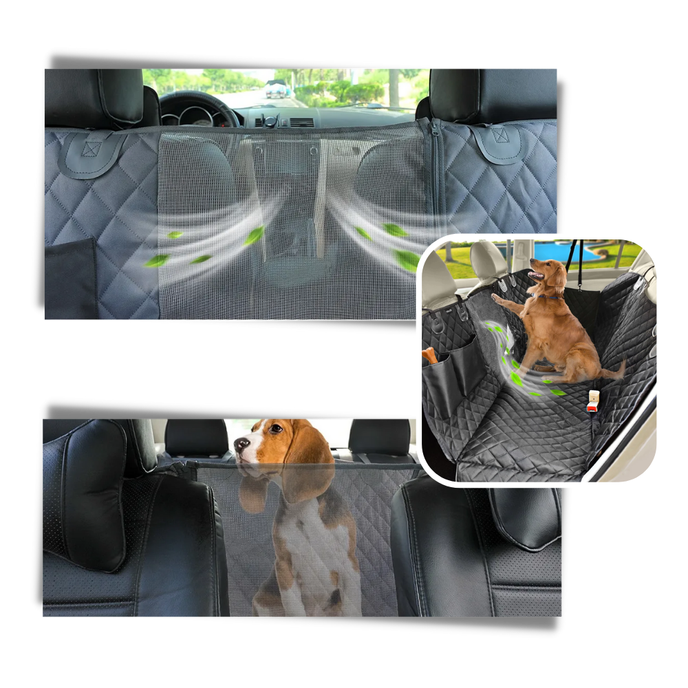 Bilsetetrekk til hund
