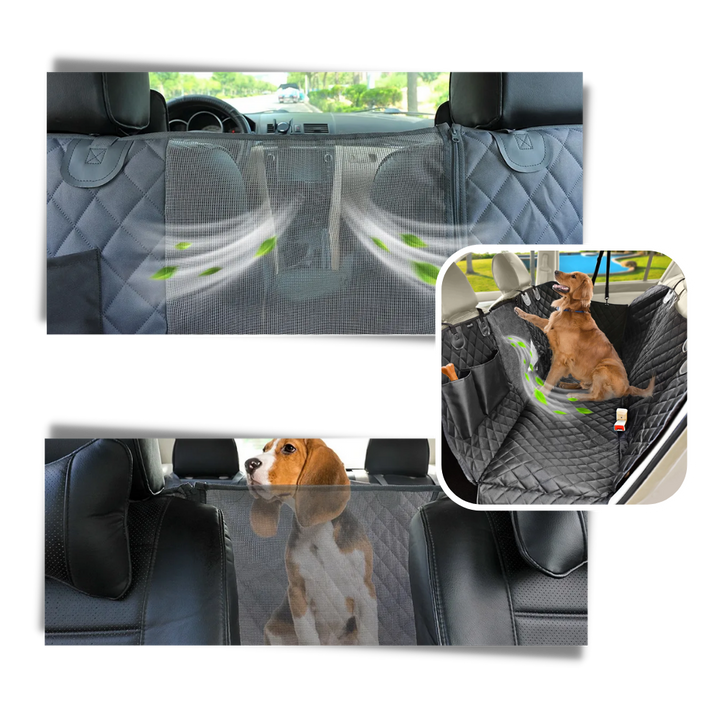 Bilsetetrekk til hund