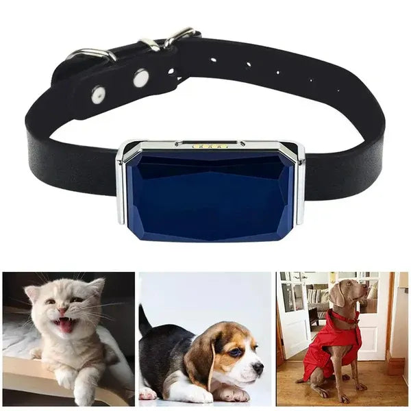 Pet GPS Tracker - Sanntid Plassering Sporingssystem for Kjæledyr | Skanto