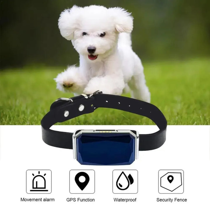 Pet GPS Tracker - Sanntid Plassering Sporingssystem for Kjæledyr | Skanto