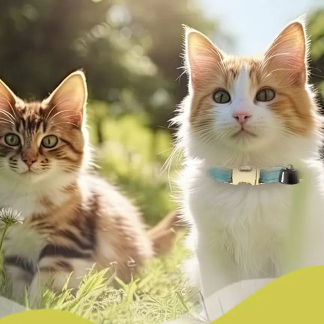 Skanto | Pet Tracker Mini – Smart Bluetooth Dyrlokalisator med Halsbånd og Klokke