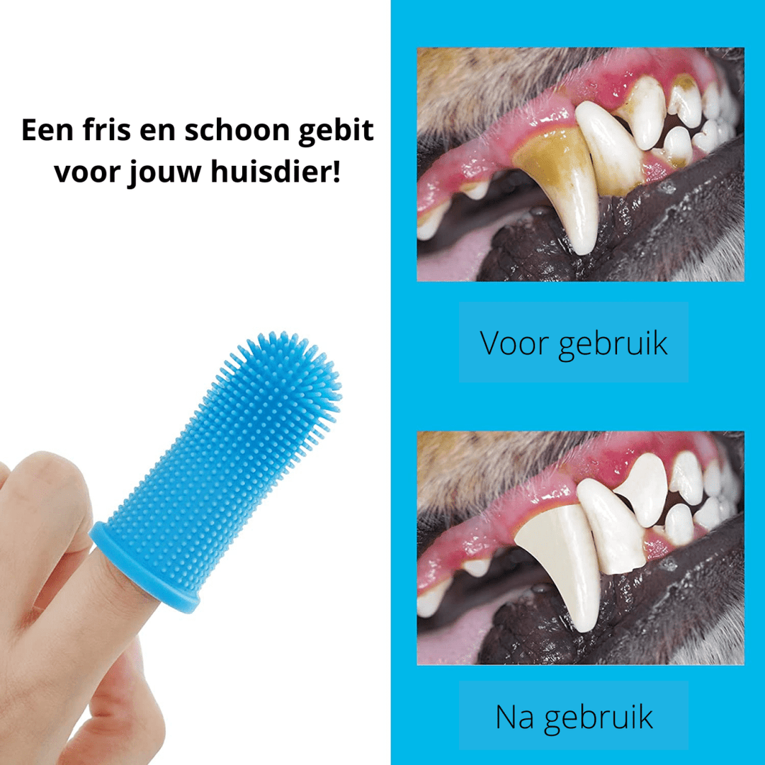 Skanto | 360° silikon finger tannbørste for sikker tannpleie for hunder