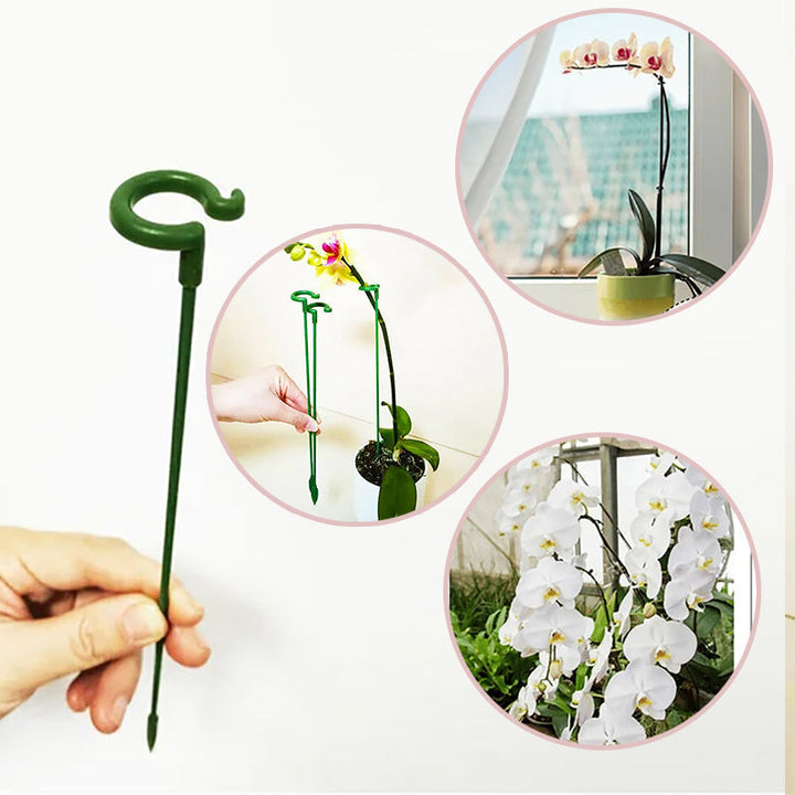 Skanto | Plante Støtte Stak