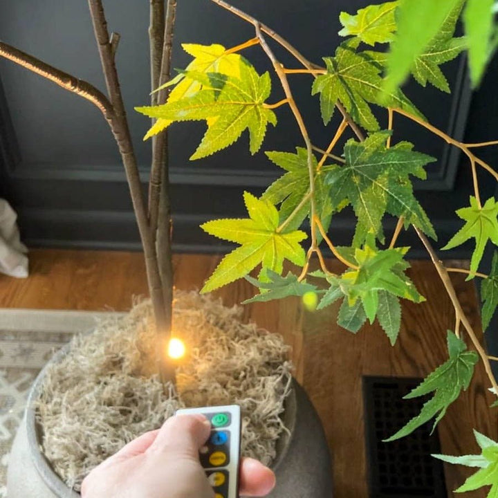 Skanto | Viva-projektor lampe LED lys kilde Kompakt Design