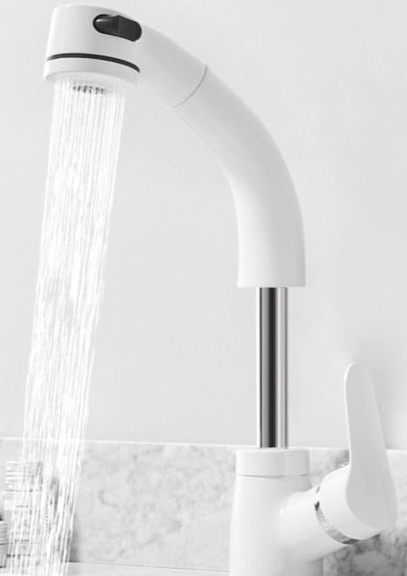 Skanto | FlexiStream Justerbar Badkran Utrekks Elegant Finish