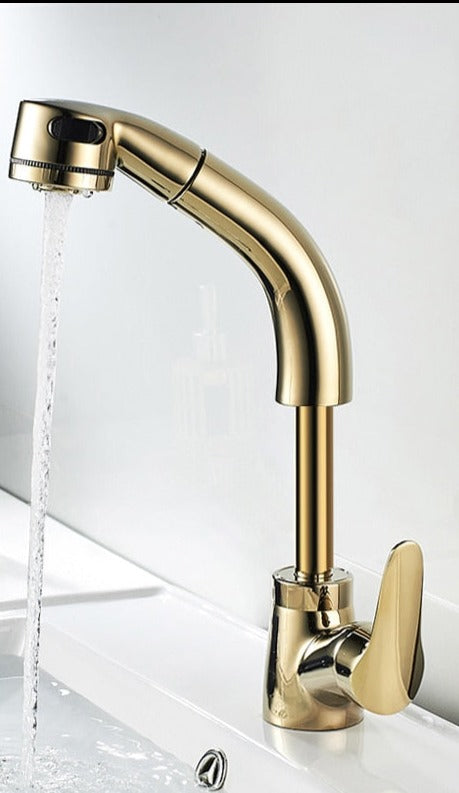 Skanto | FlexiStream Justerbar Badkran Utrekks Elegant Finish
