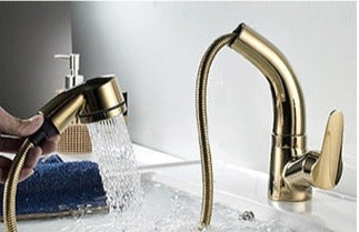 Skanto | FlexiStream Justerbar Badkran Utrekks Elegant Finish