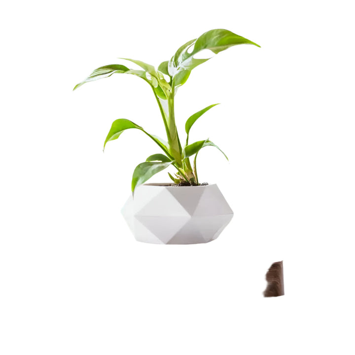 GeoSpin roterende geometriske planteboks Skanto