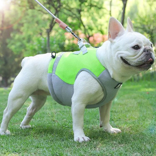 Frenchie Sommer Reflekterende Kjølevest | Skanto