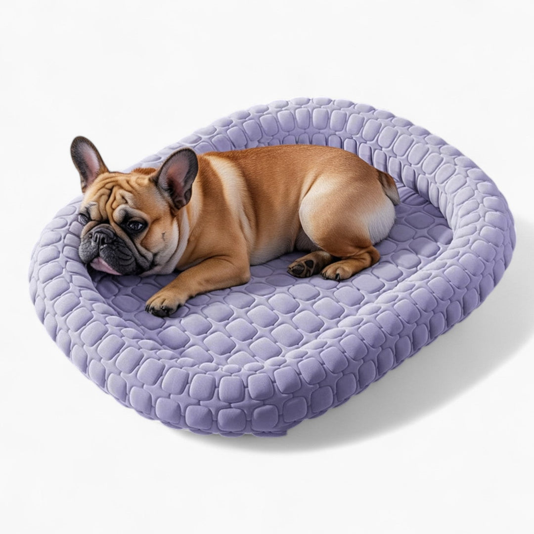 FrostiPad Fransk Bulldog Sommer Seng – Rutsikkert Is Silke Ortopedisk Matte | Skanto