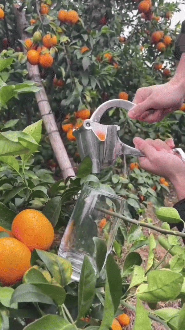 Skanto | Fruktjuicepresse