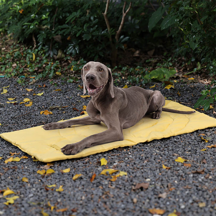 Skanto | Sammenleggbar Vanntett Bærbar Hund Bilsete Matte Hund Camping Matte