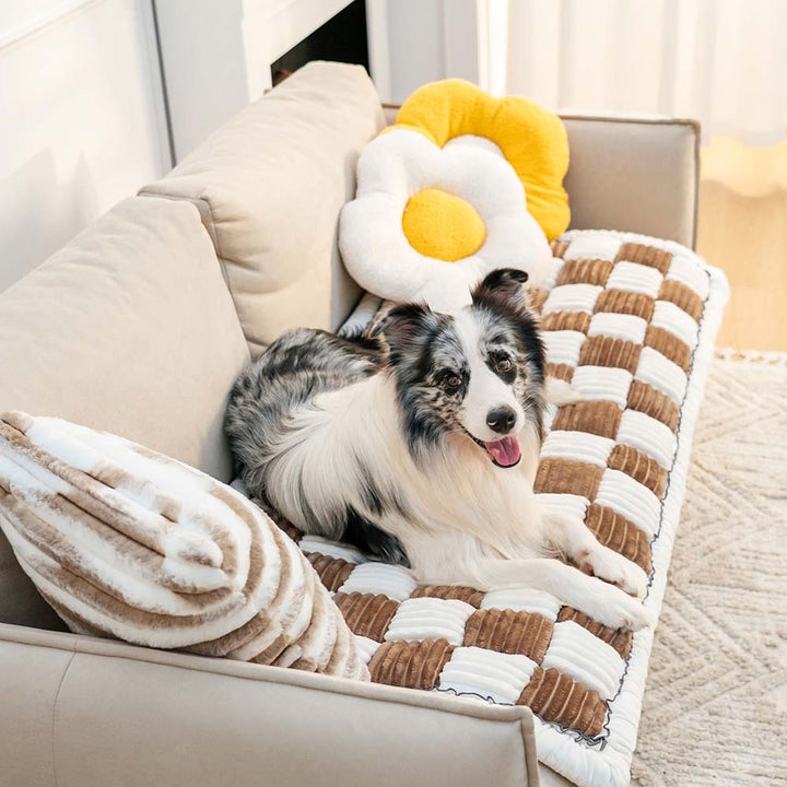 CozyCover – Elegant Teppe for Katt og Menneske Skanto