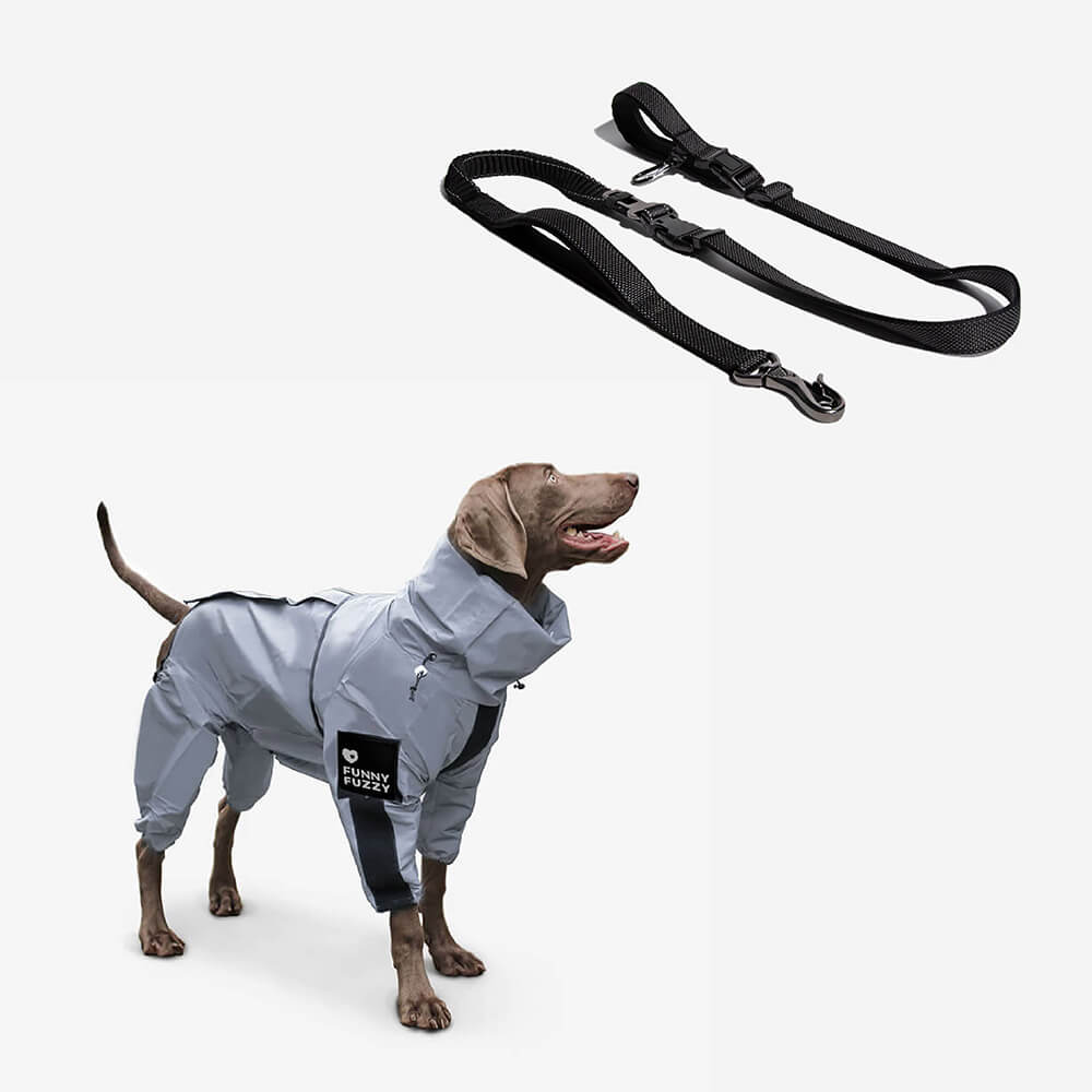 Skanto | Allvær Vanntett Kule Hundetilbehør Regnjakke