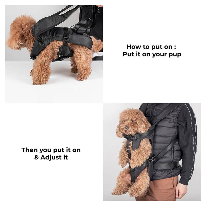Hundetransportbag ryggsekk - cockpit