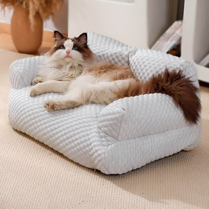 Skanto | Vaskbar Plysjpute seng for kjæledyr - CozyPaws
