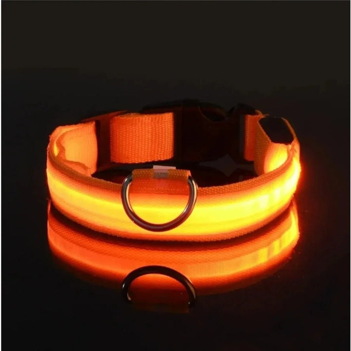 LED-Sicherheitshalsband for Hunde med verstellbarer Passform