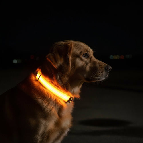 Skanto | LED sikkerhets hundehalsbånd med justerbar passform