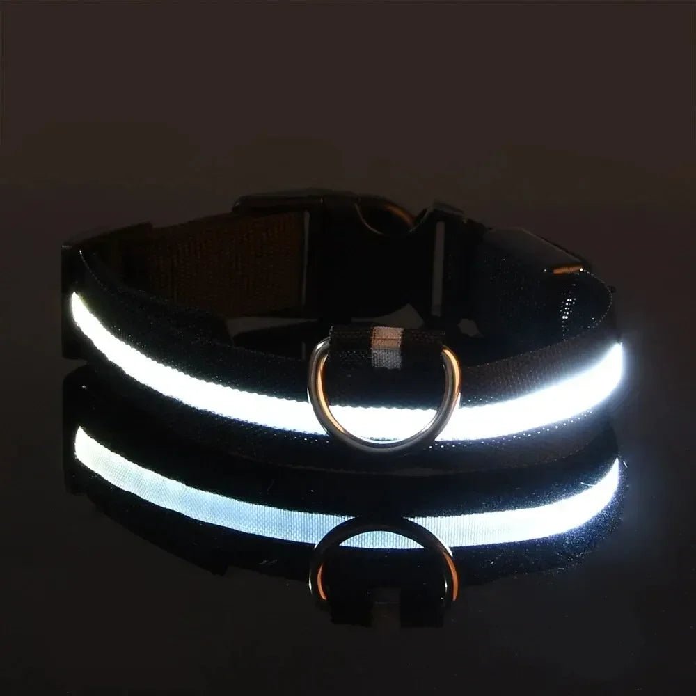 LED-Sicherheitshalsband for Hunde med verstellbarer Passform