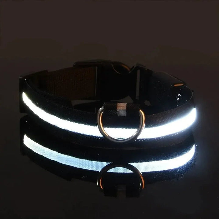 LED-Sicherheitshalsband for Hunde med verstellbarer Passform