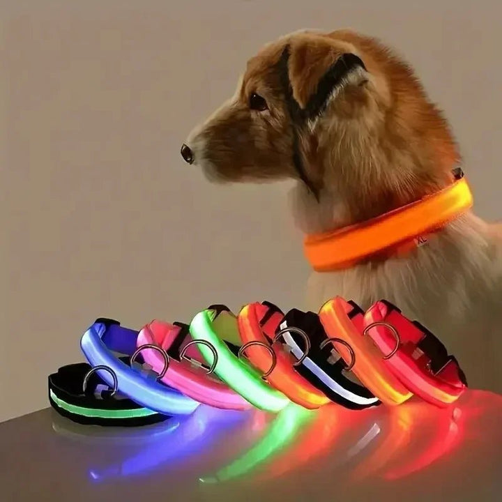 LED-Sicherheitshalsband for Hunde med verstellbarer Passform