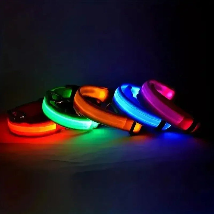 LED-Sicherheitshalsband for Hunde med verstellbarer Passform