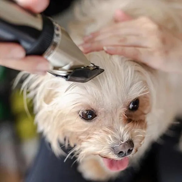Silent Coat Trimmer Set for Dogs Skanto