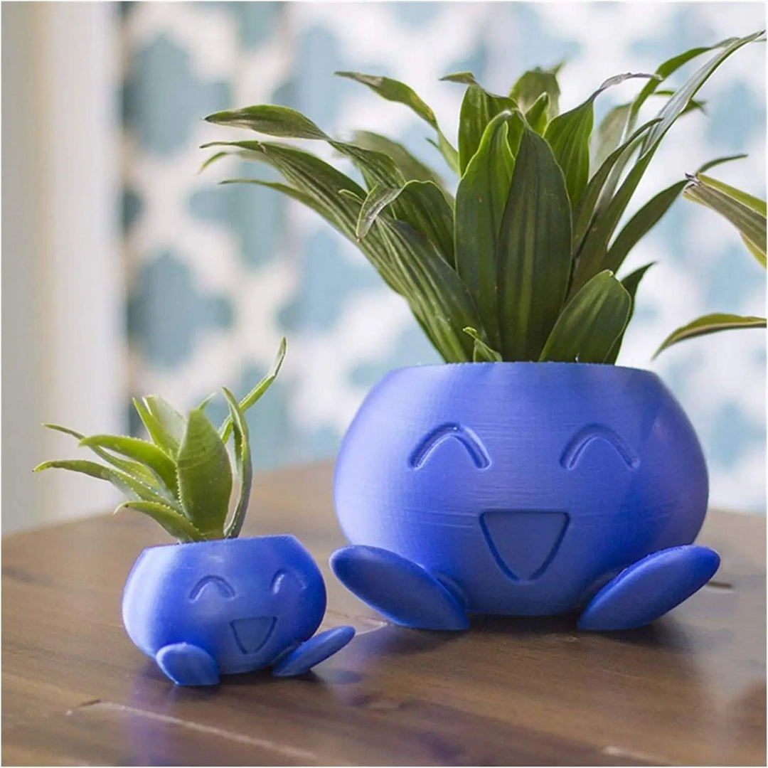 Skanto | Unik Saftig Plantekasse - QuirkyPot