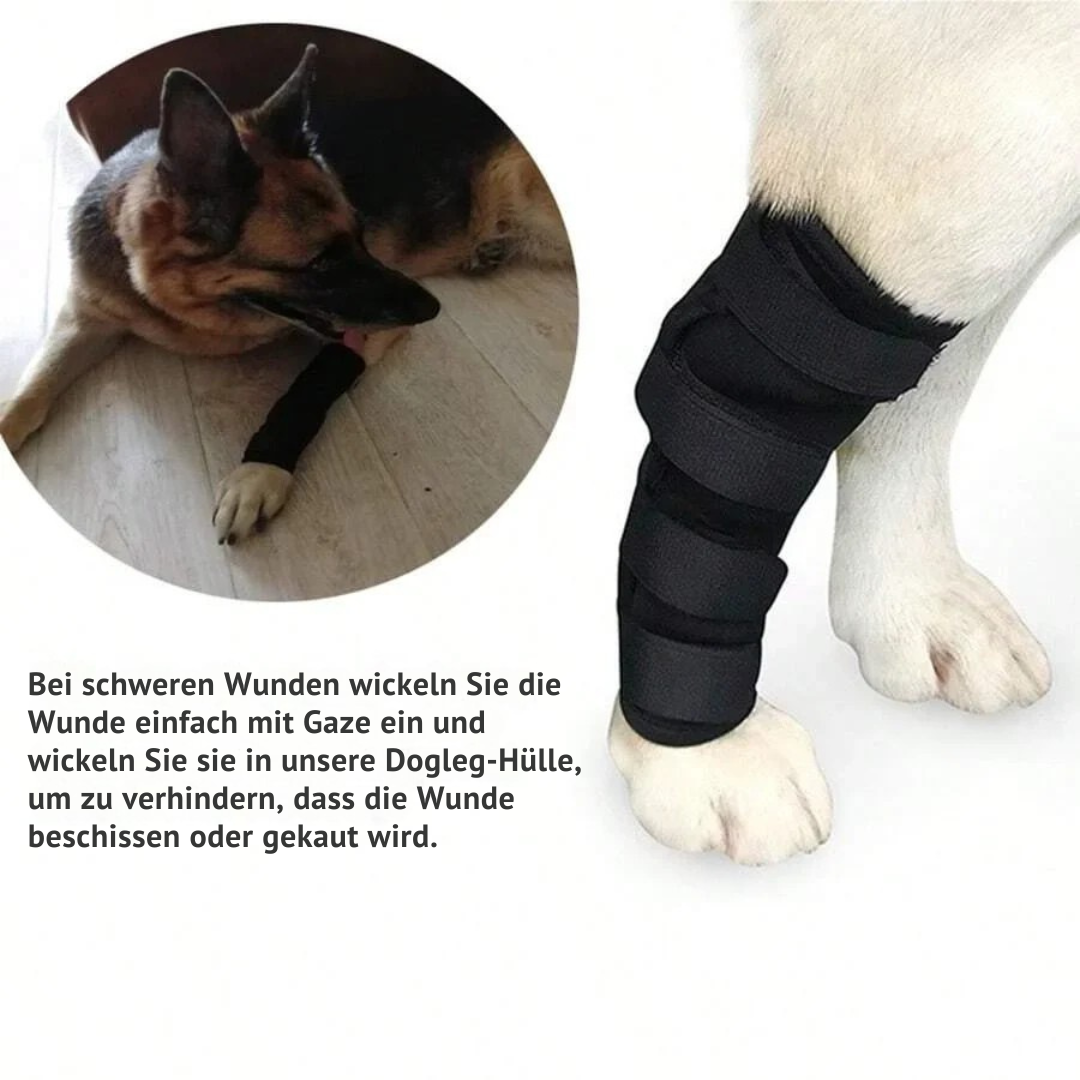 Felles støtte for hunder stabilisering & beskyttelse Skanto